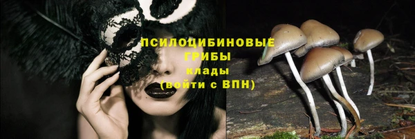 mdpv Белокуриха