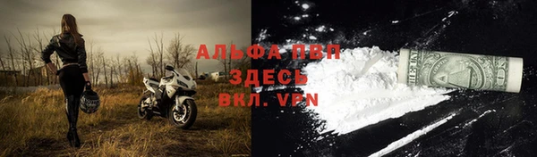 mdpv Белокуриха